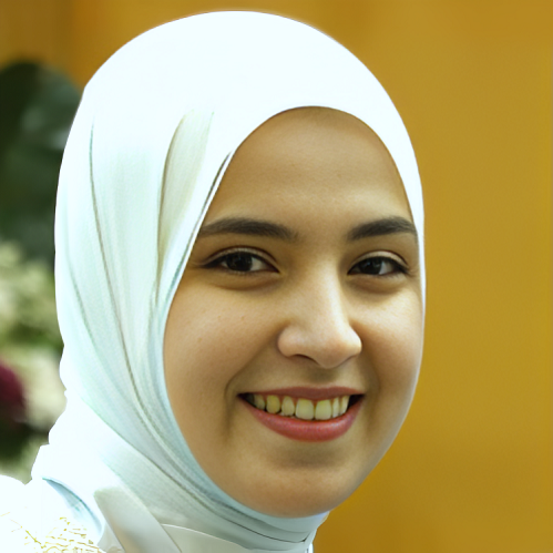 Alaa Osama Abdel-Kareem